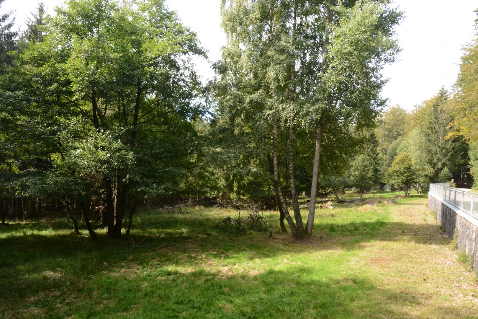 European elk enclosure