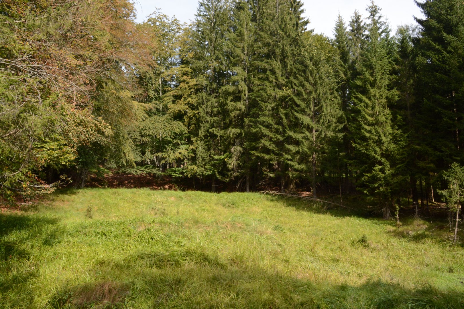 European elk enclosure