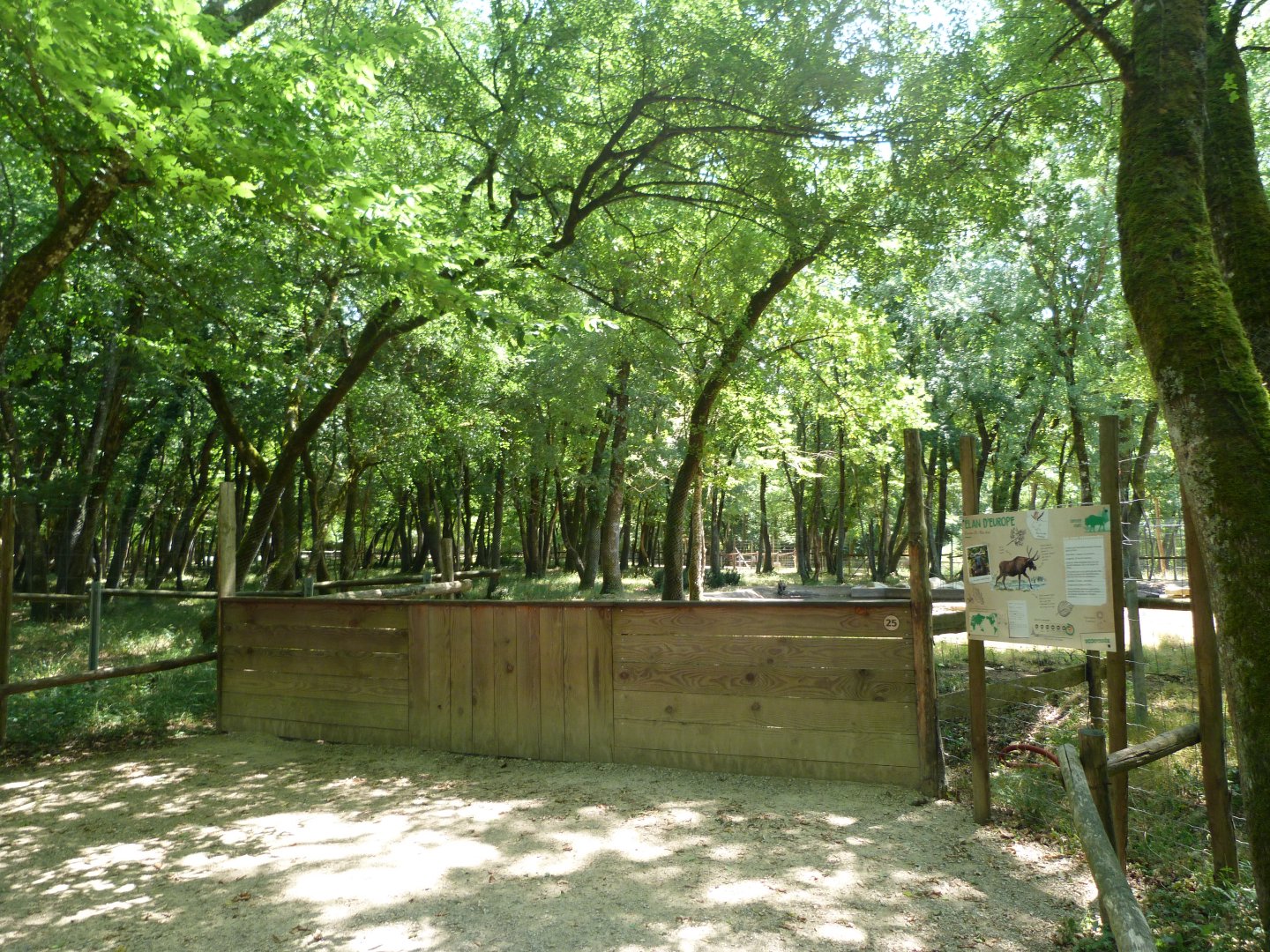 European elk exhibit viewing area -Zoodyssée (2025)