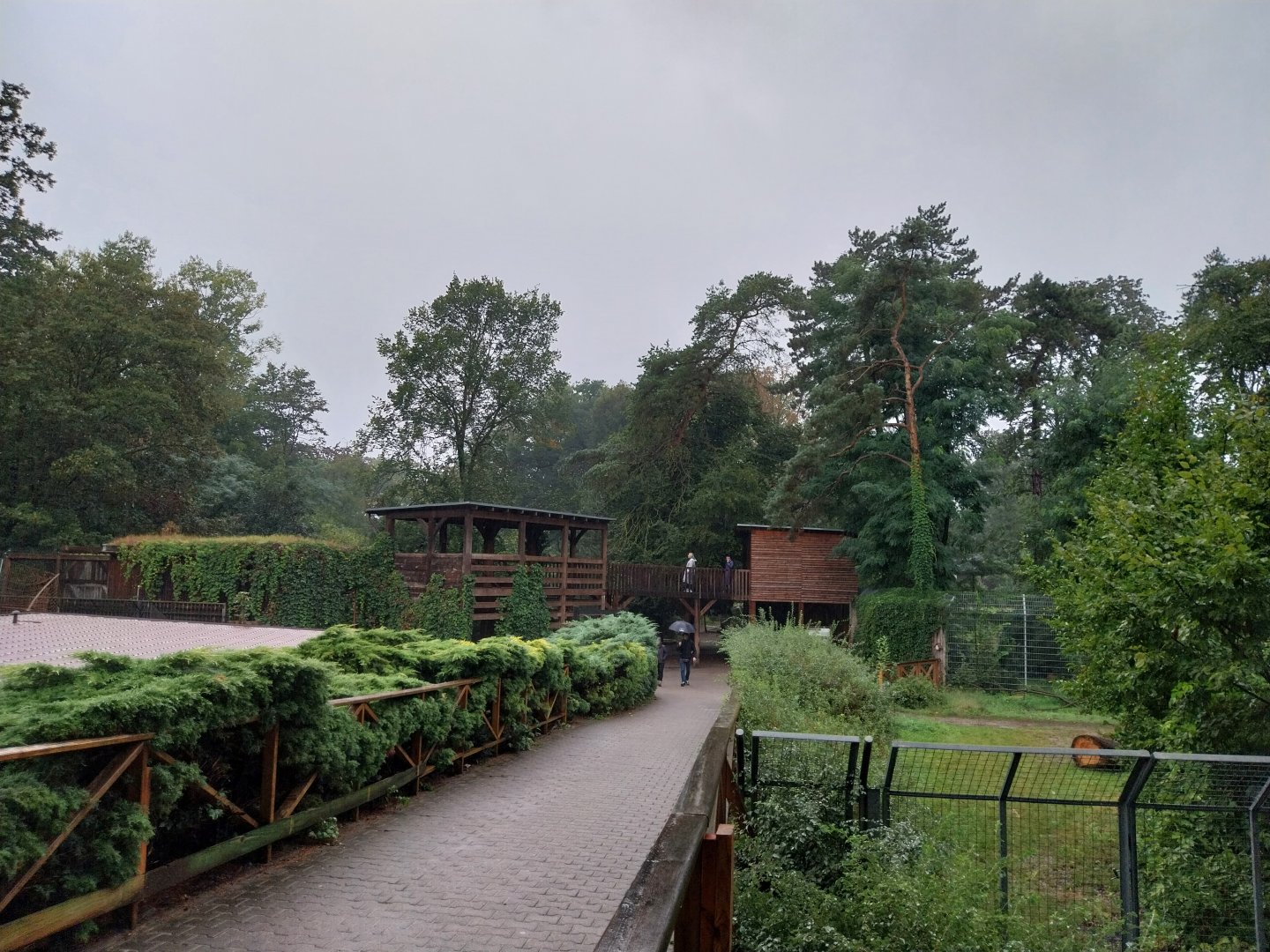 European faune - Elevated visitor platform