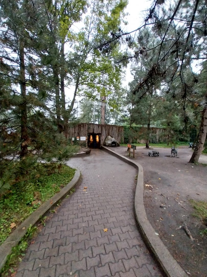 European faune - Wolf's den