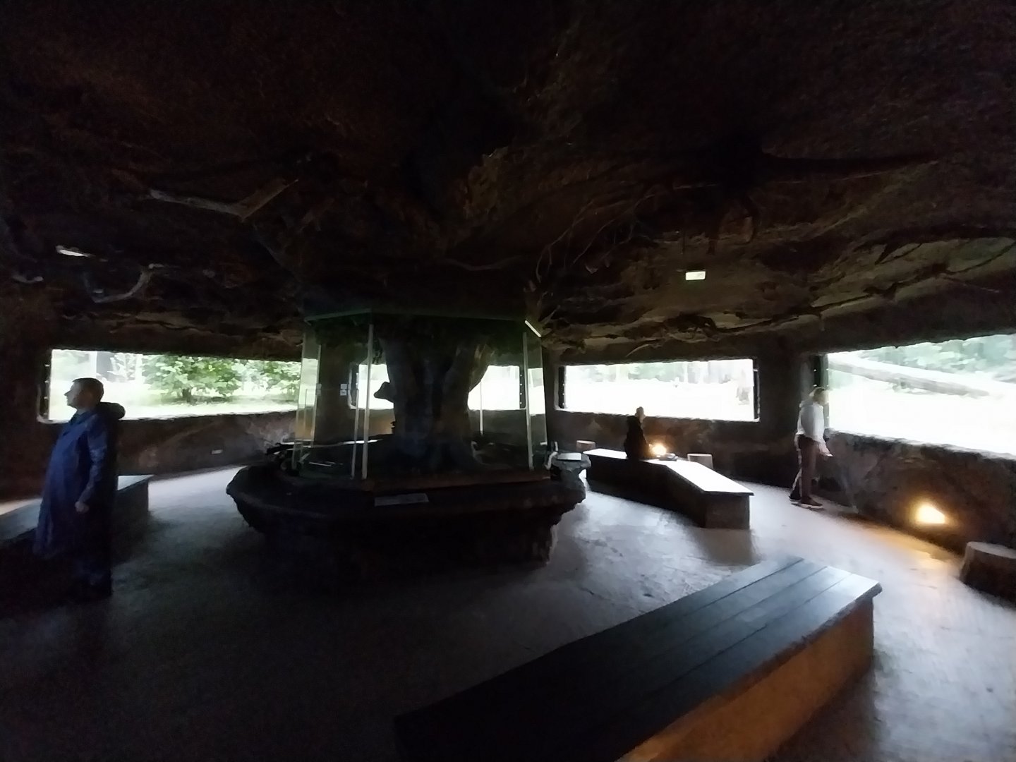 European faune - Wolf's den