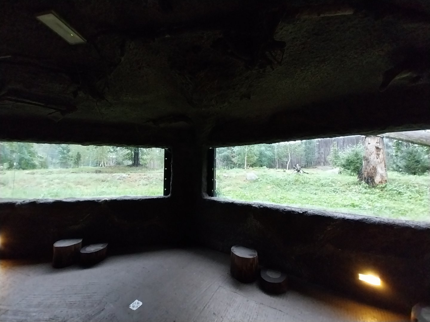 European faune - Wolf's den