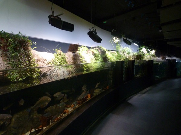 European freshwater tanks