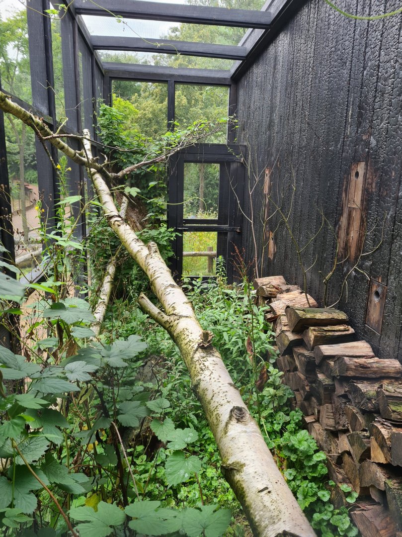 European garden dormouse enclosure