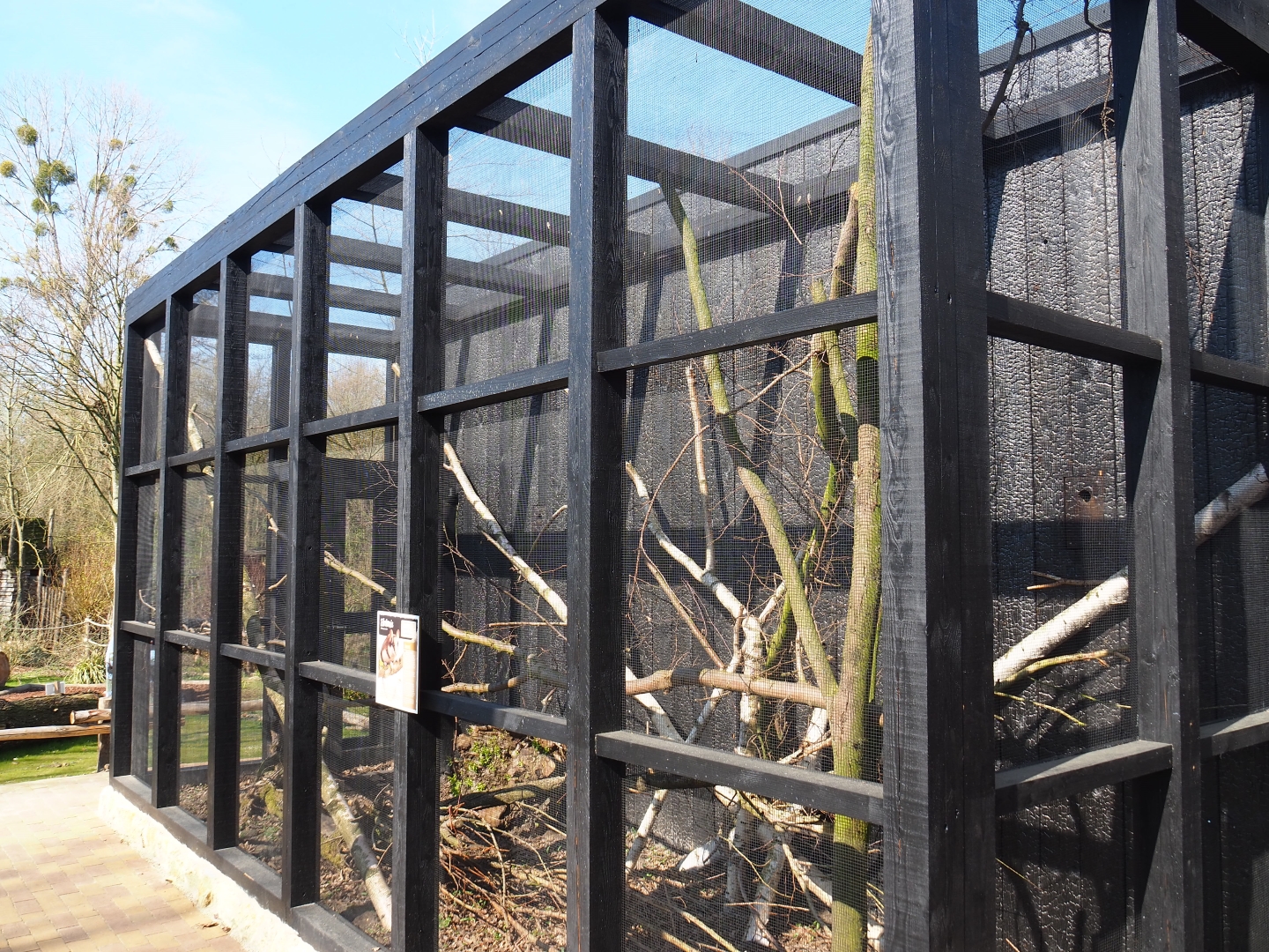 European garden dormouse exhibit, 2019-03-30