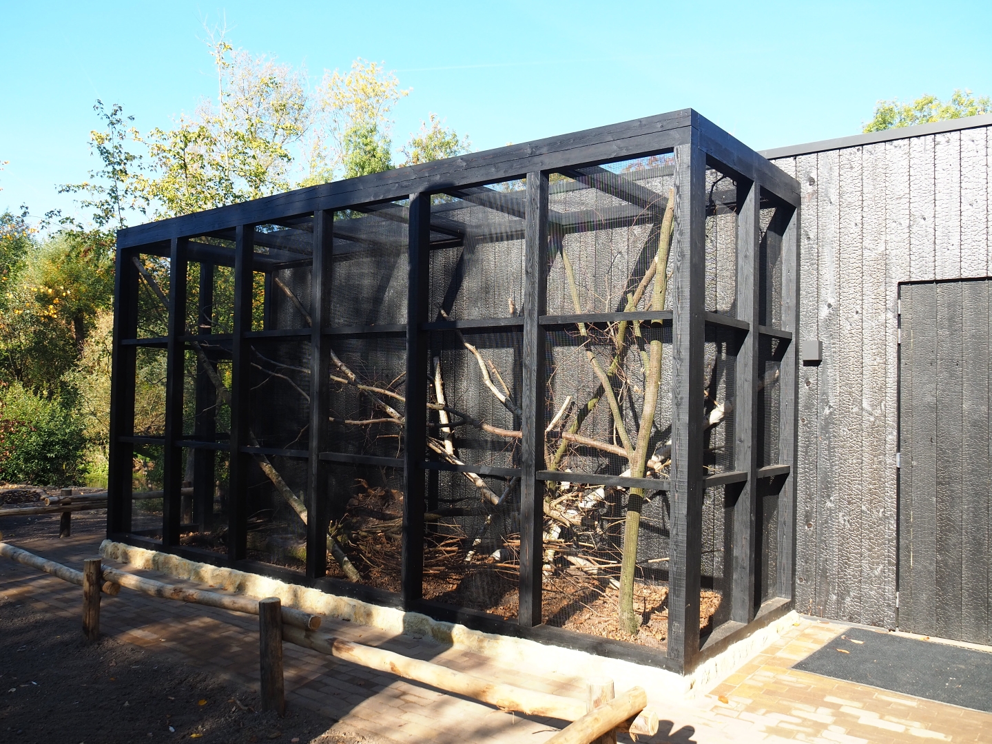 European garden dormouse exhibit (Oct 13th, 2018)