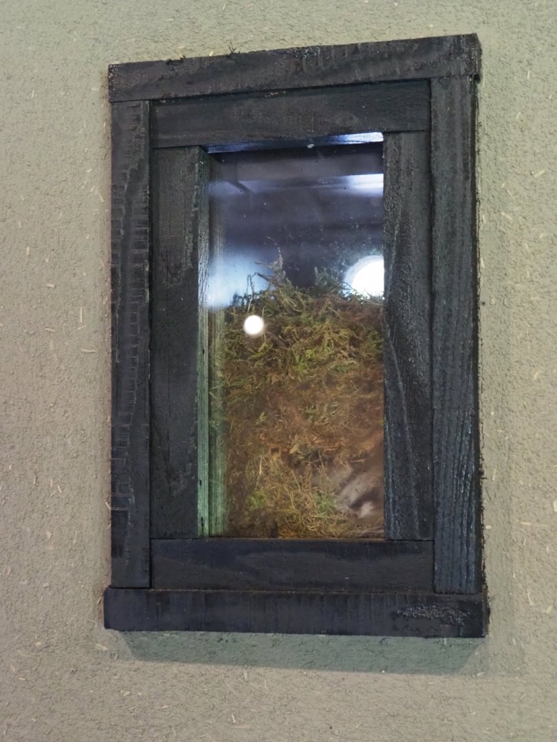 European garden dormouse nesting box