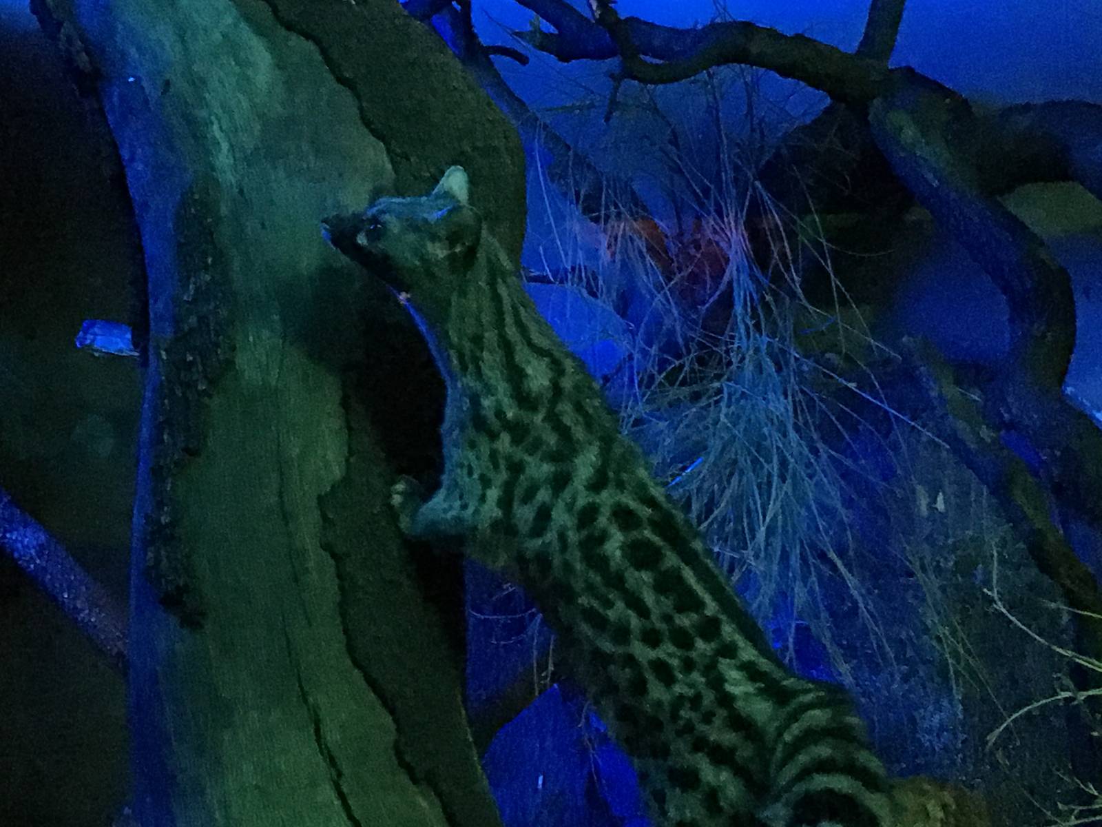 European Genet 140216