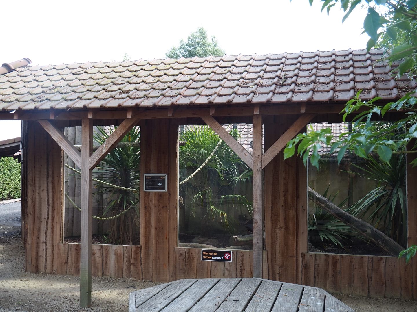 European gent exhibit and viewing area