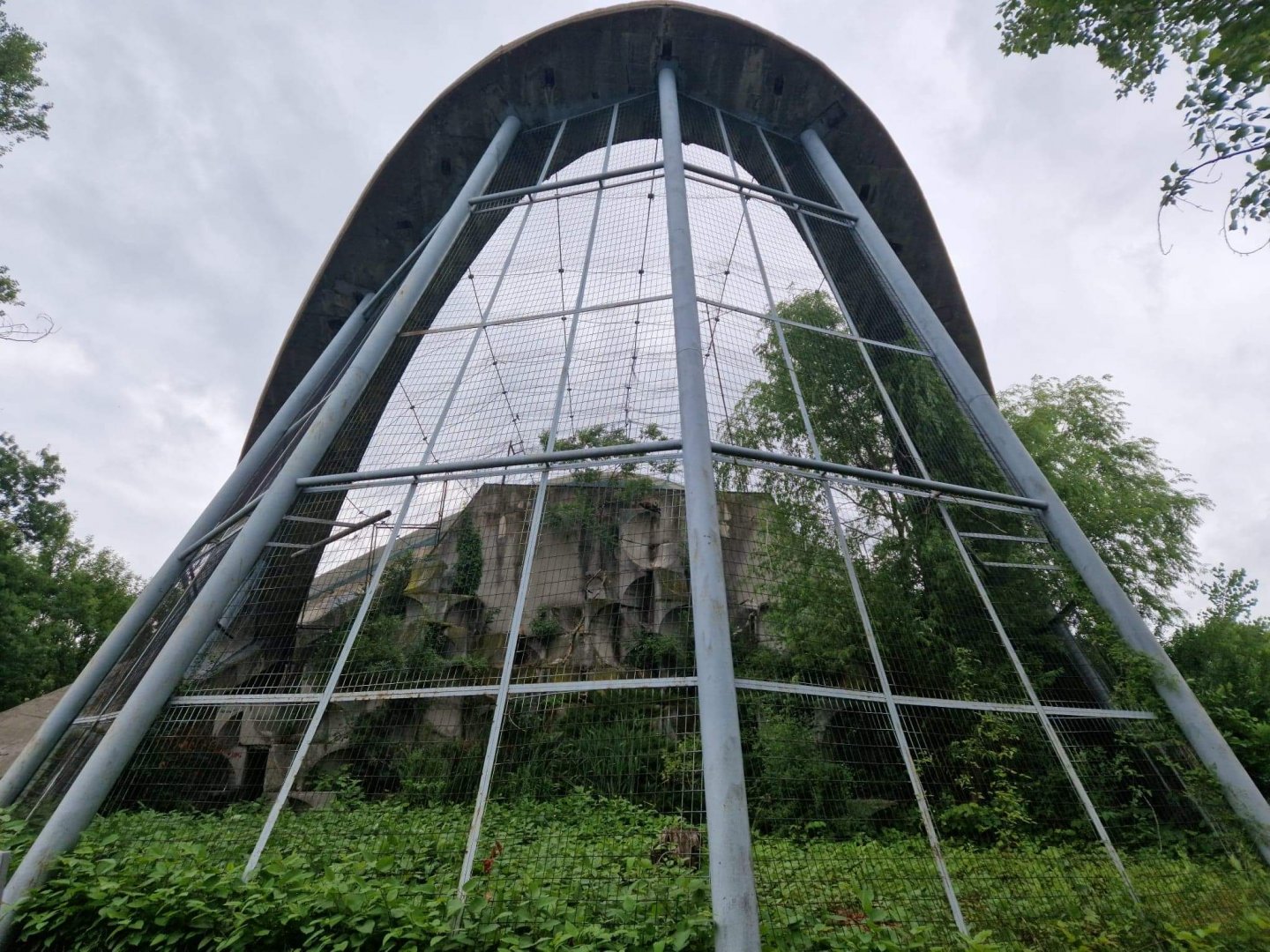 European golden eagle aviary