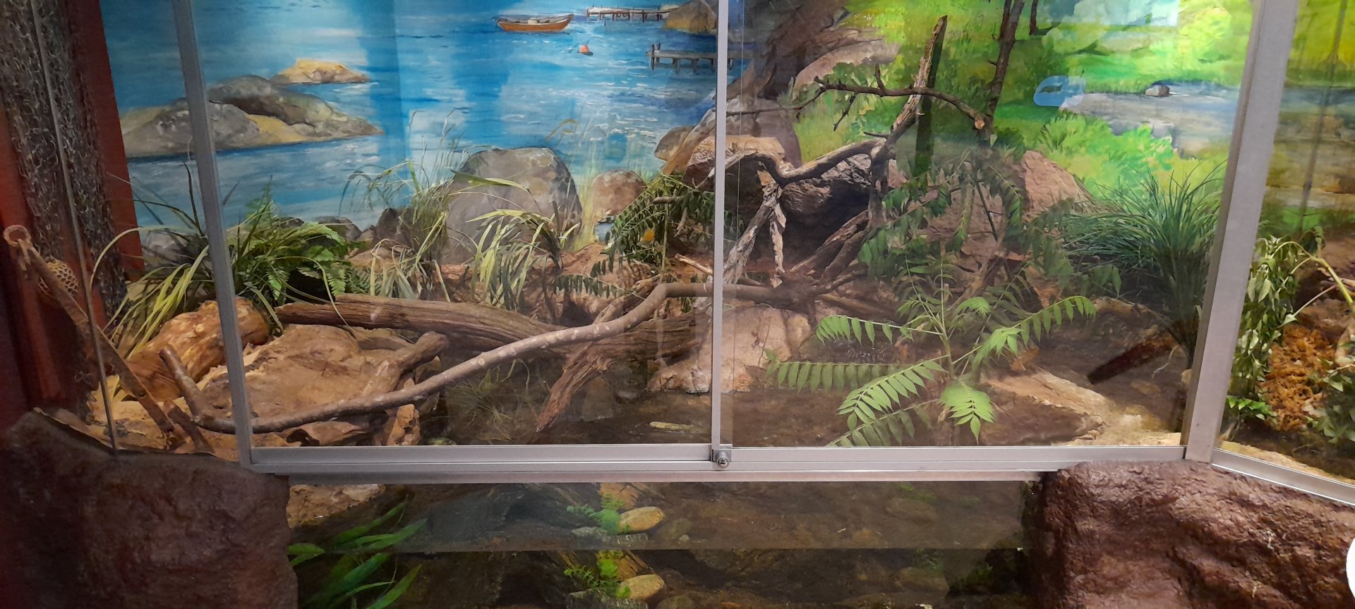 European grass snake terrarium