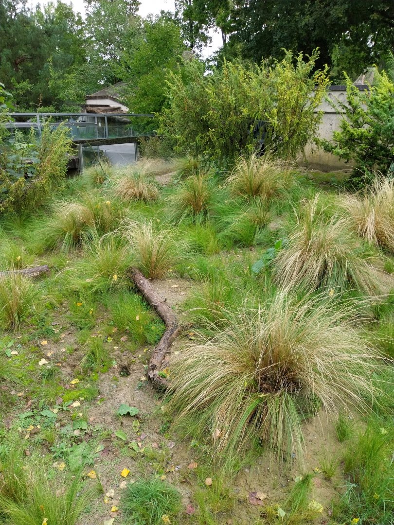 European ground squirrel enclosure