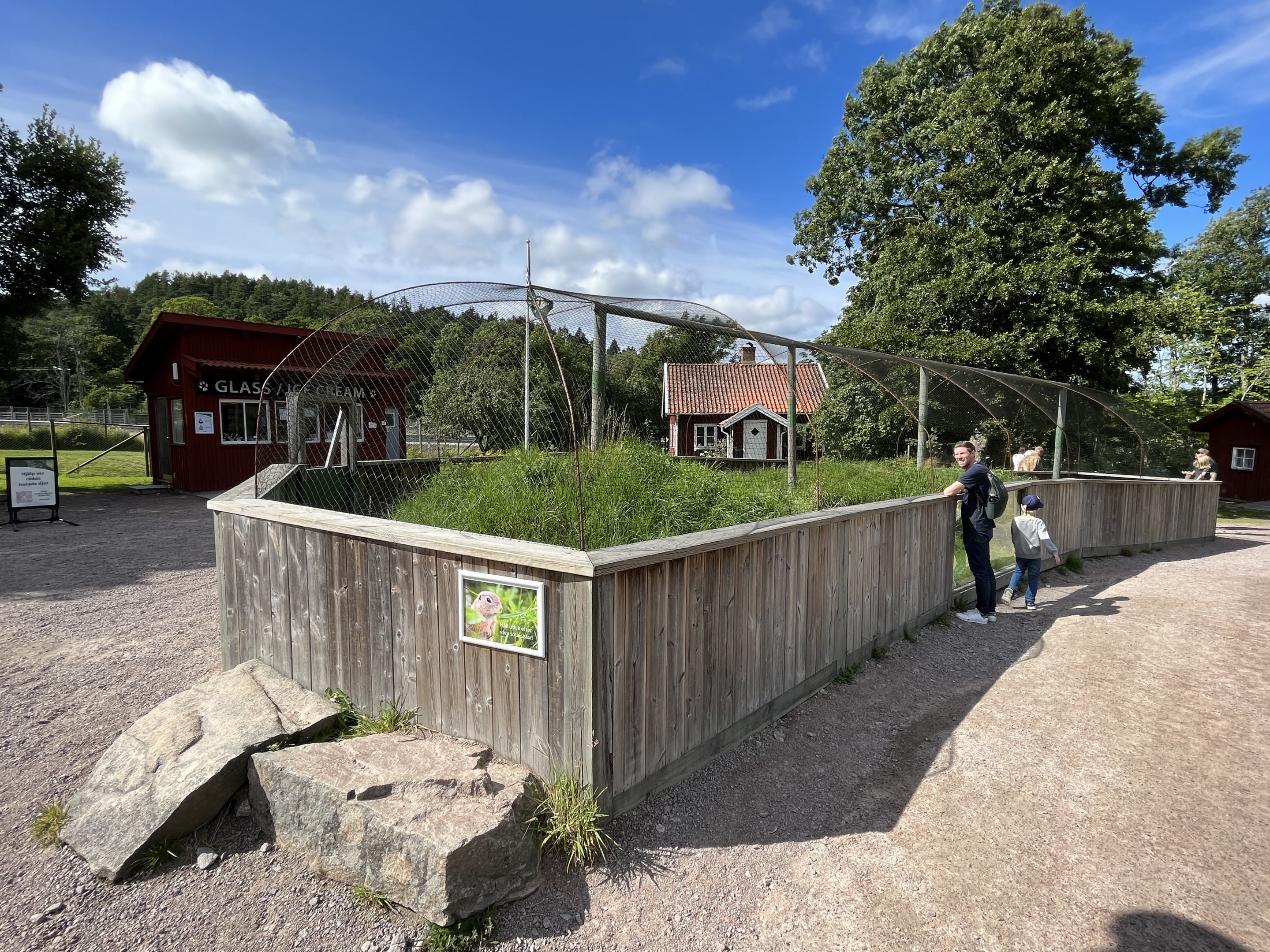 European Ground Squirrel Exhibit #1