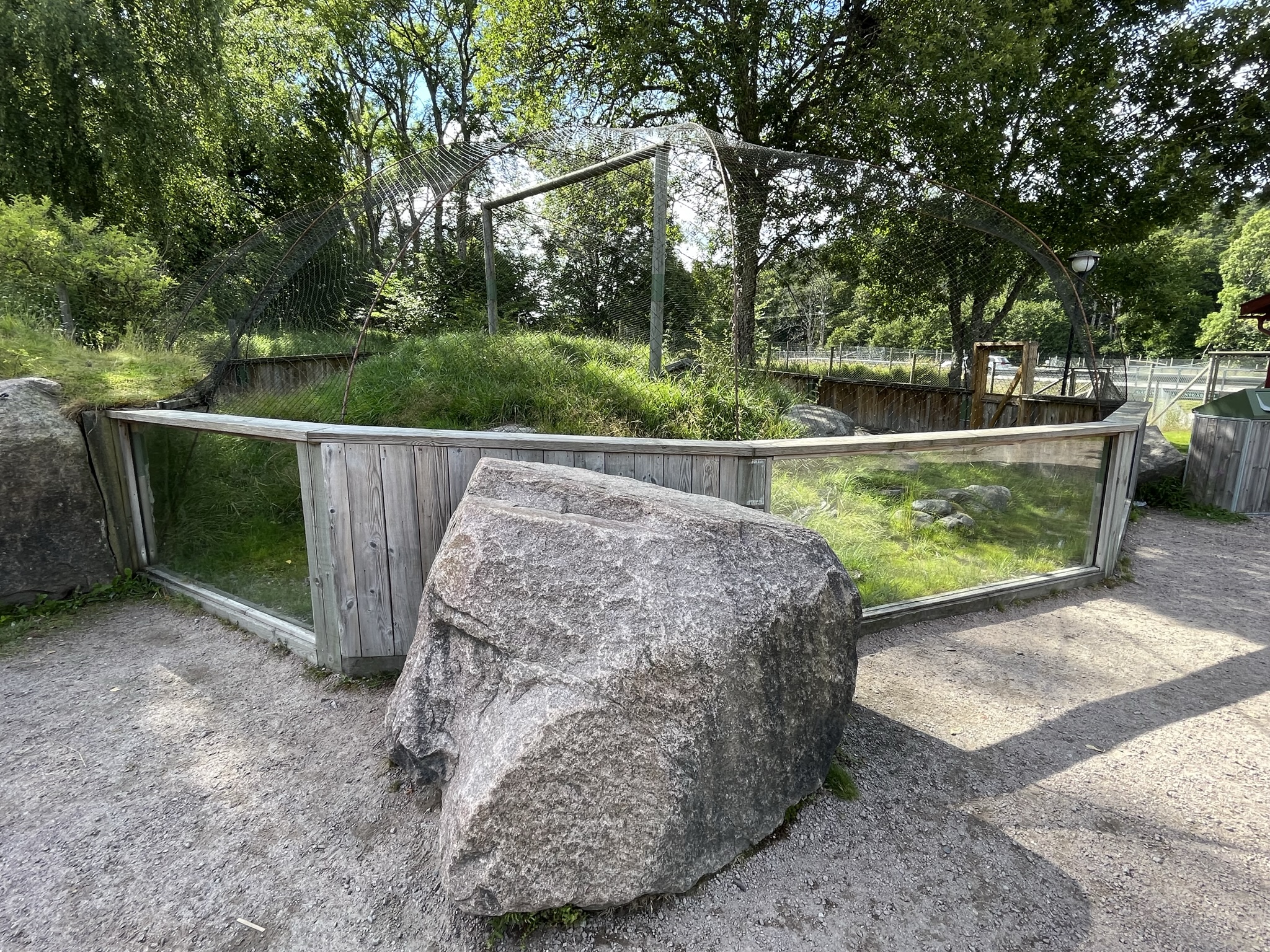 European Ground Squirrel Exhibit #2