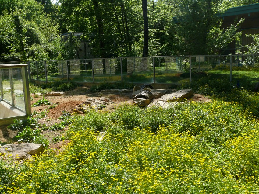 European ground squirrel exhibit
