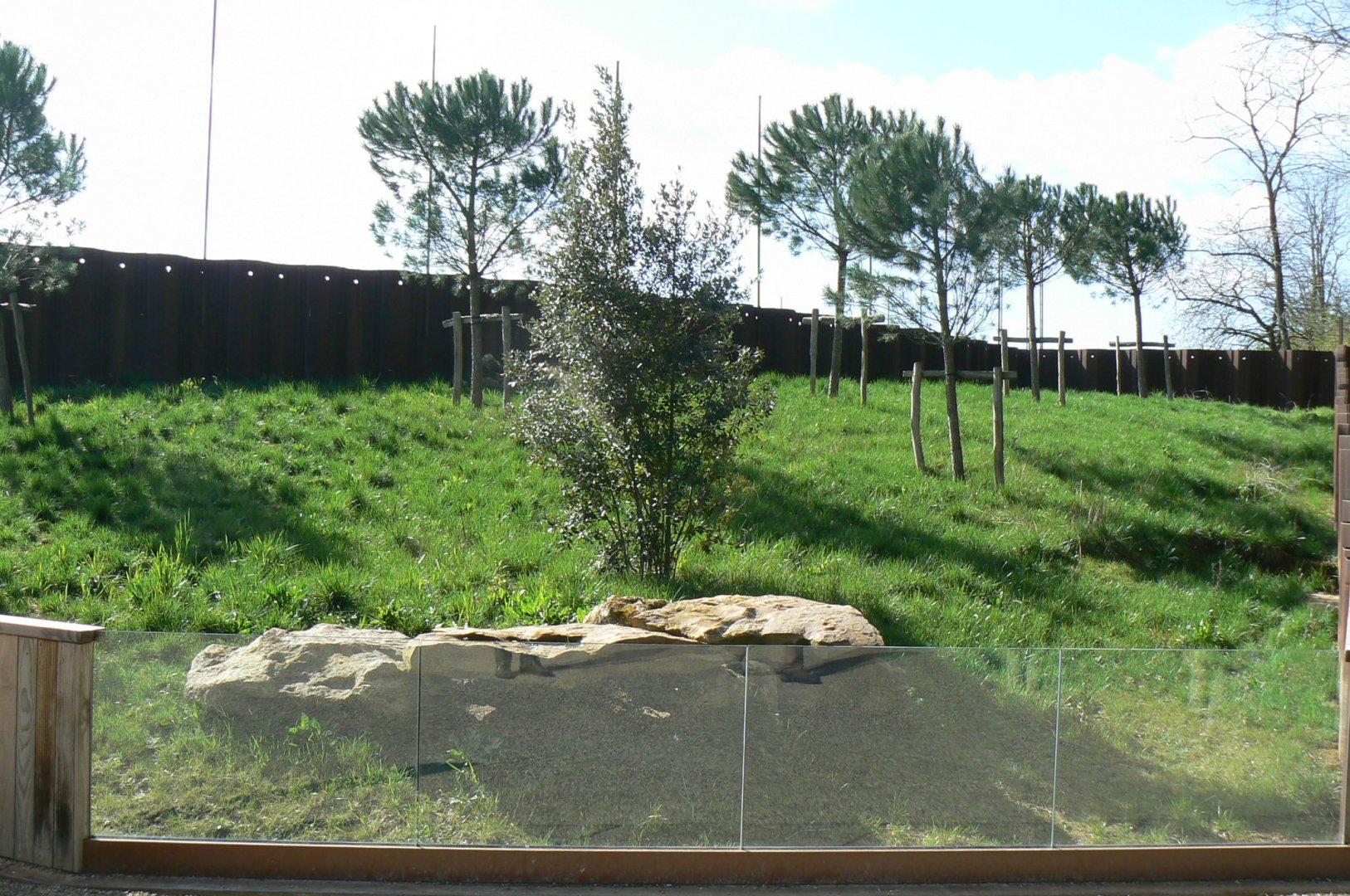 European ground squirrels enclosure