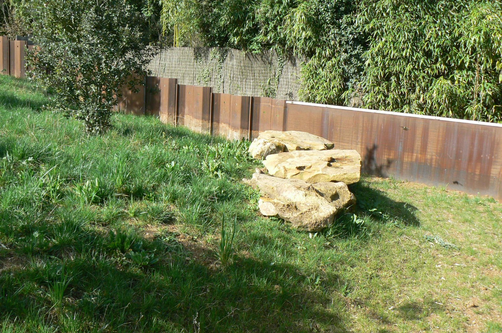 European ground squirrels enclosure