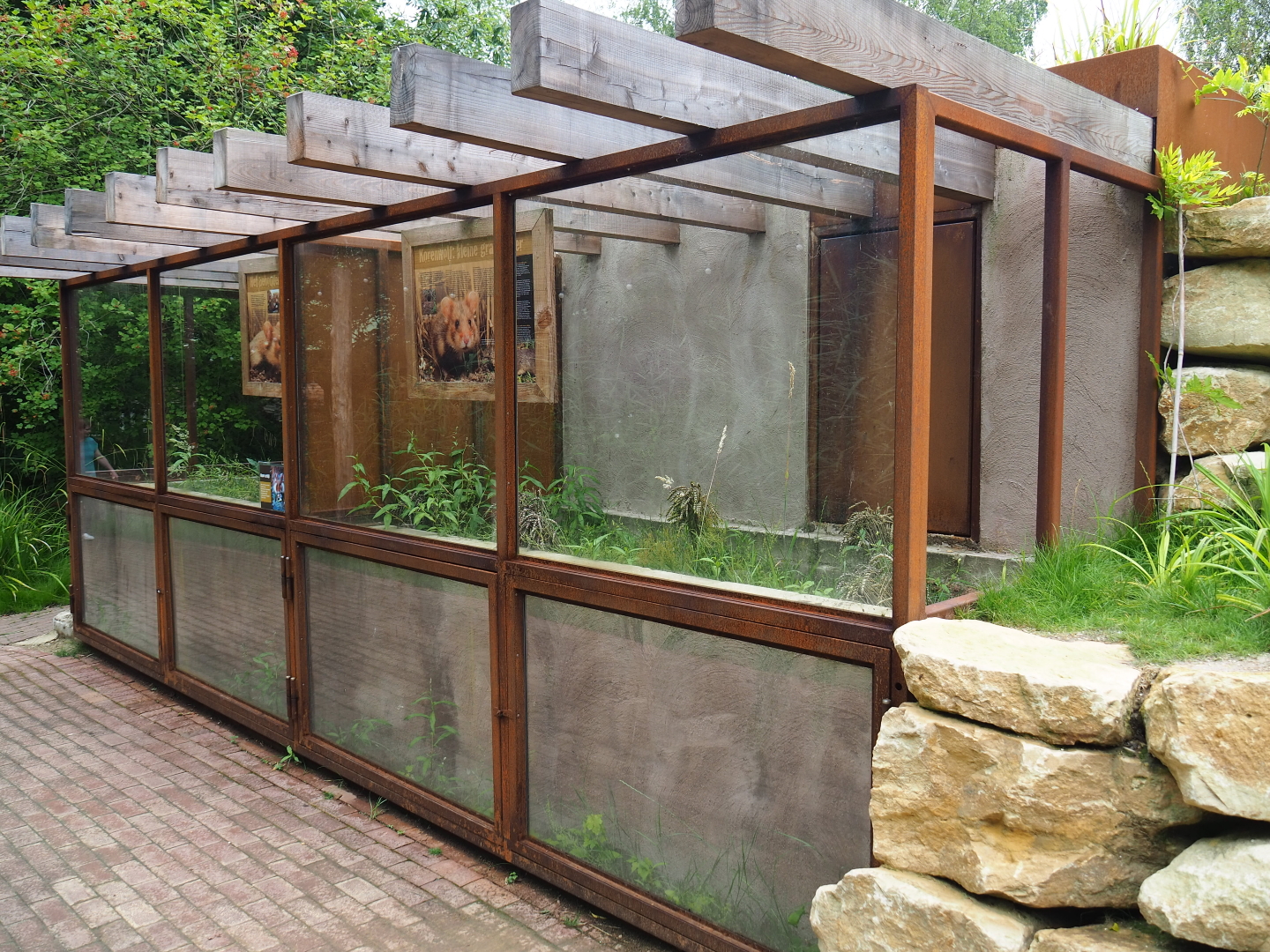 European hamster building, 2019-07-21