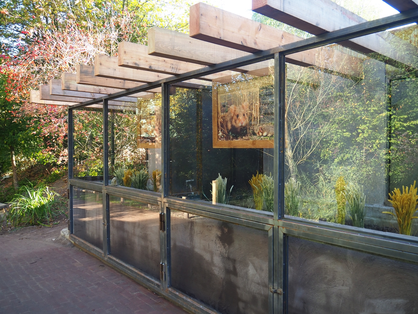 European hamster building (Oct 13th, 2018)