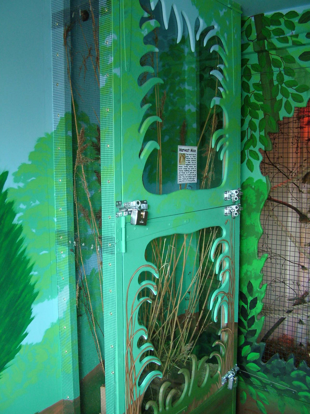 European Harvest Mouse enclosure at Tropical Butterfly House 13/06/09