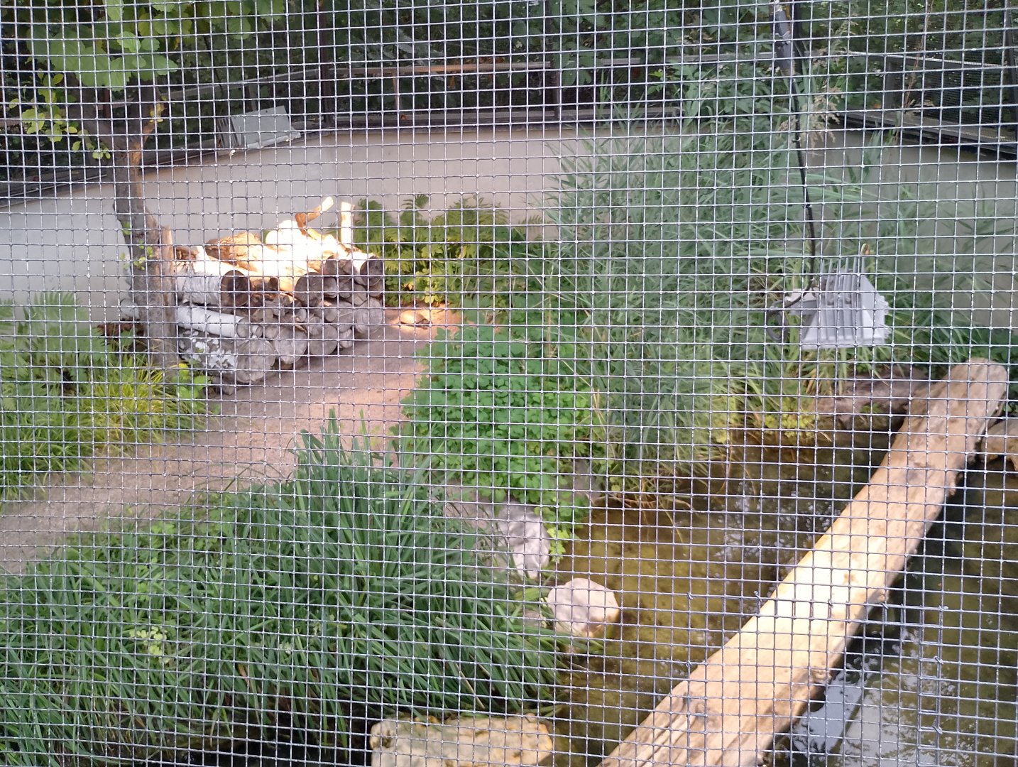 European herp enclosure