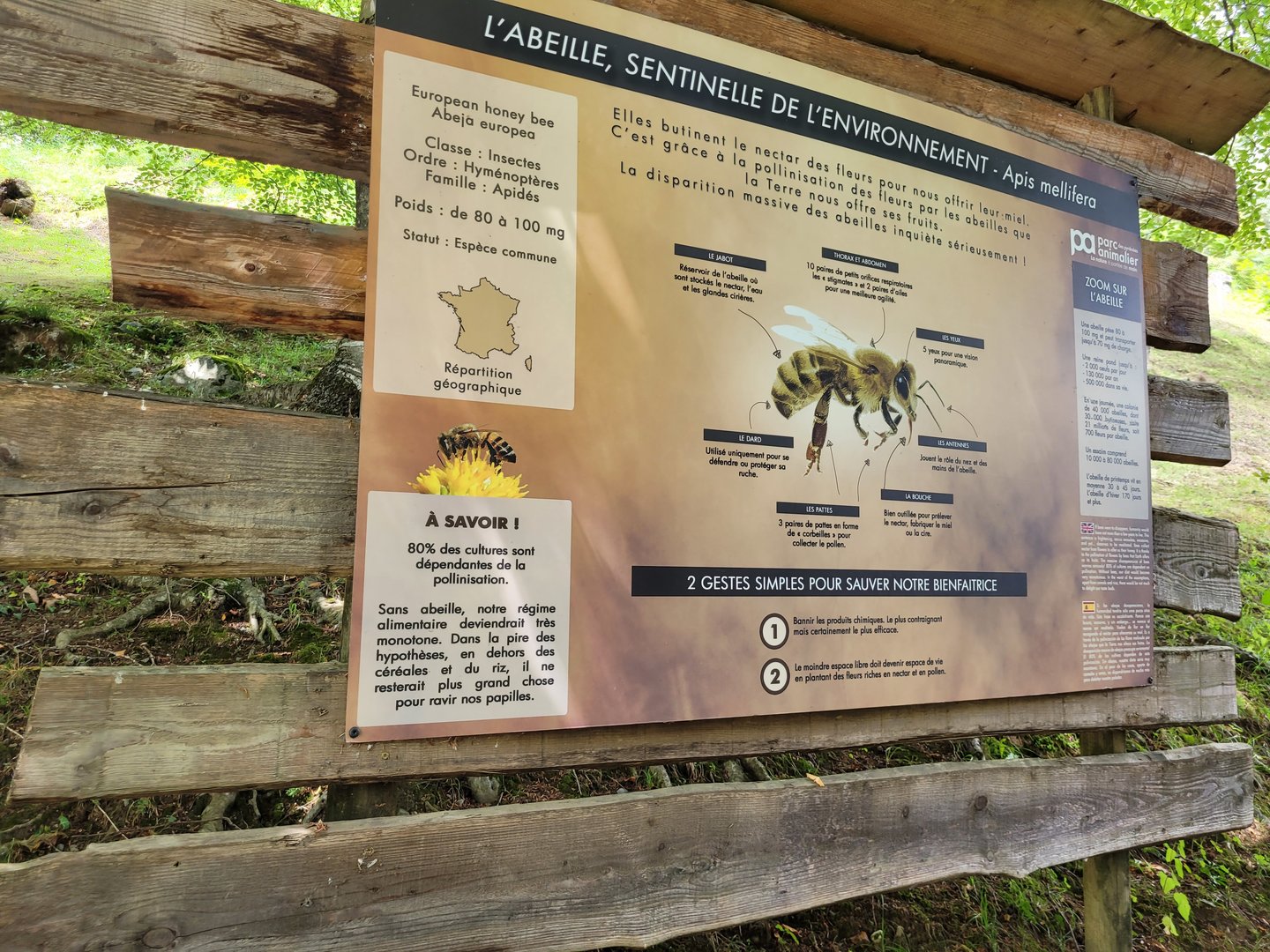 European honey bee sign -Parc Animalier des Pyrénées (2023)