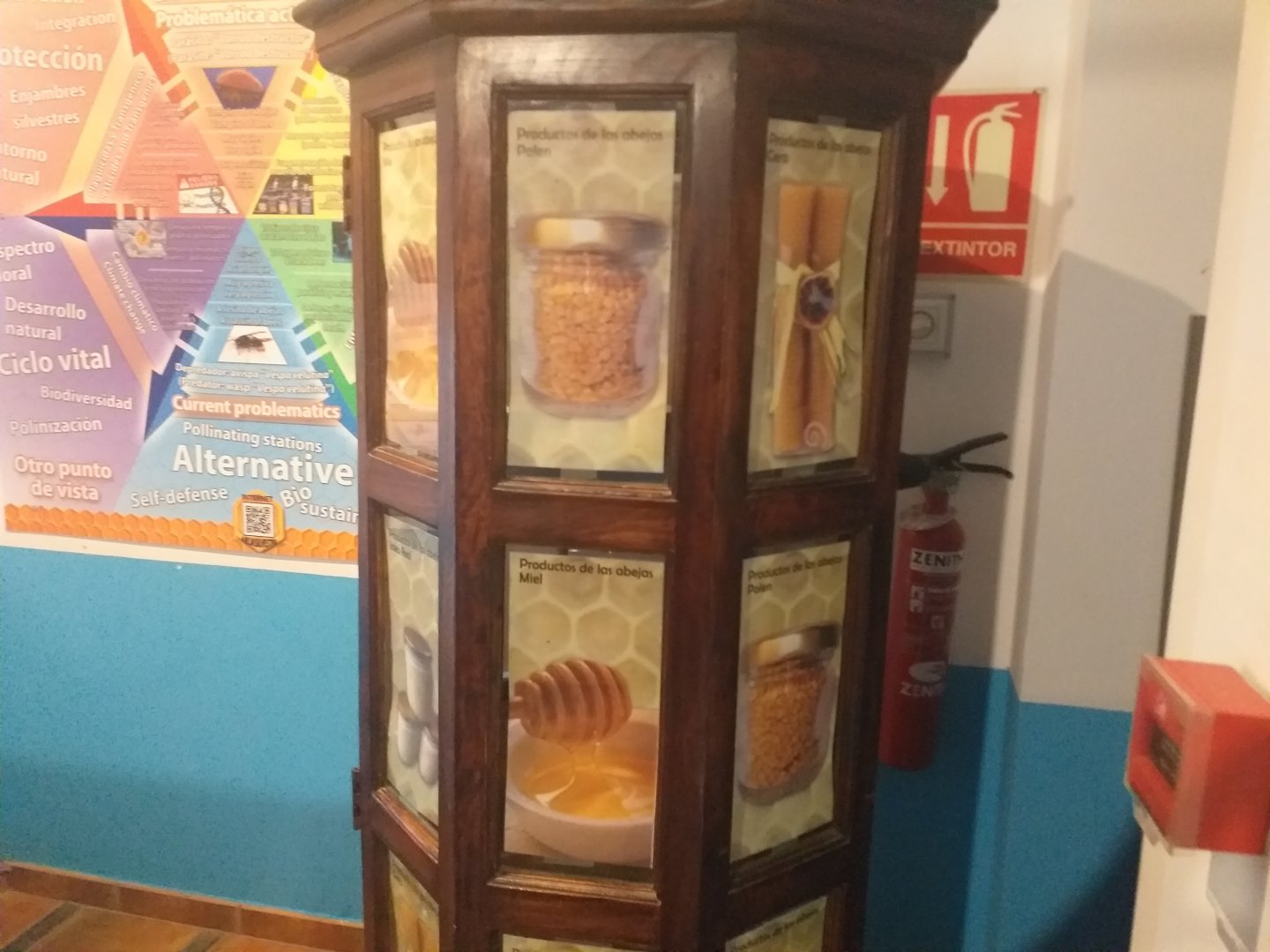 European honey bee sign -TerraNatura Benidorm (2021)