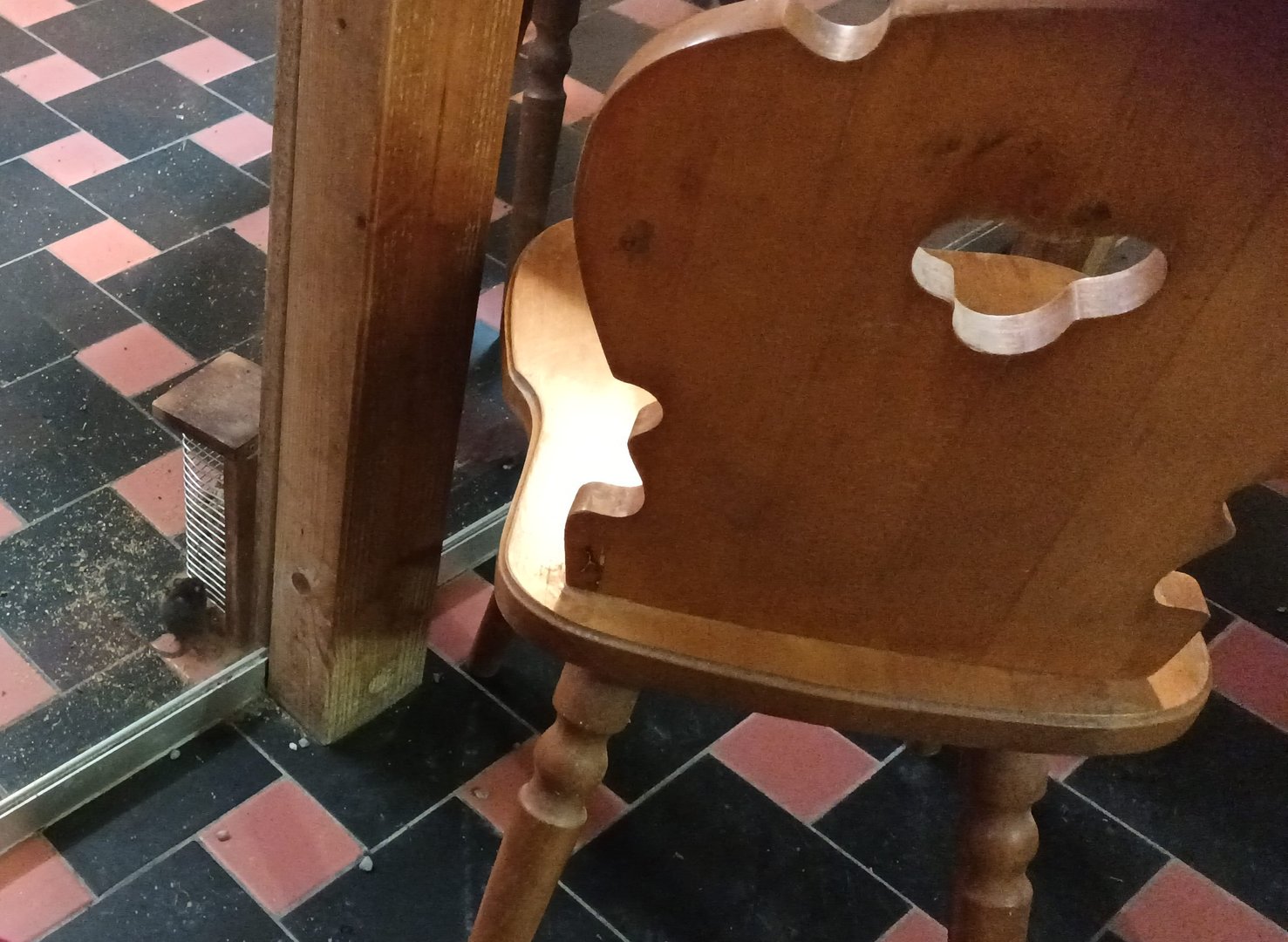 European House Mouse