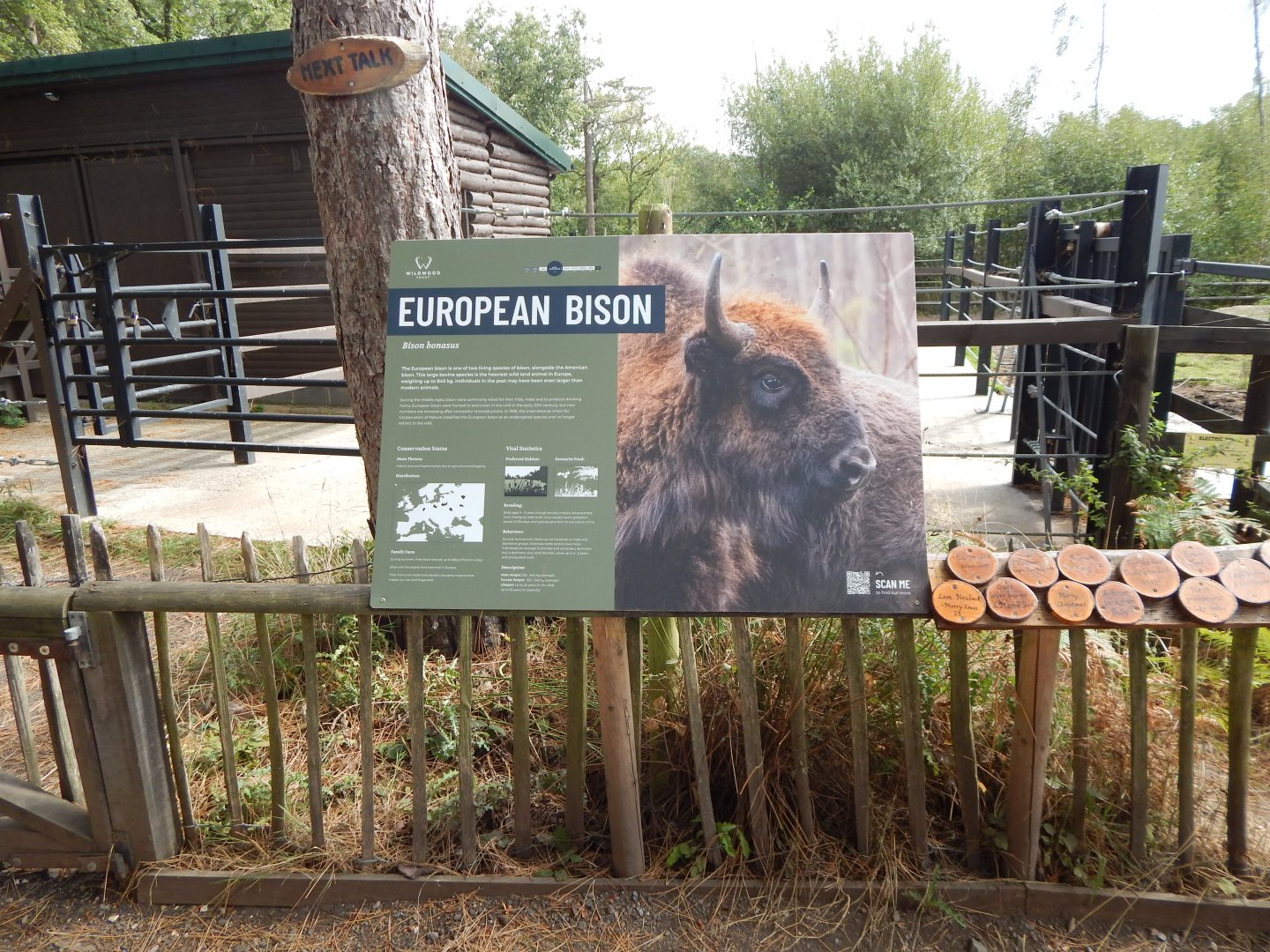 European lowland-bison signage 030924