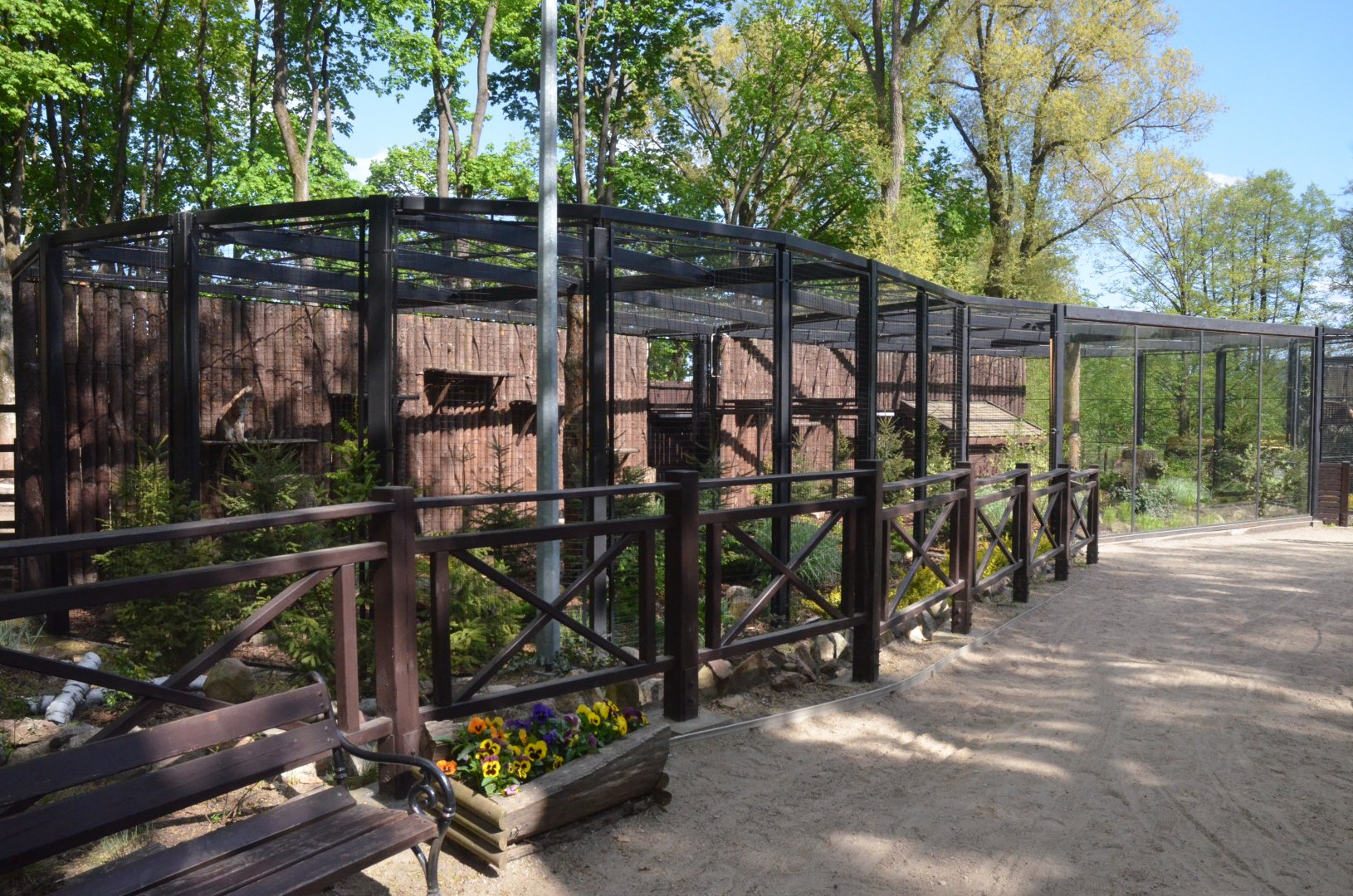 European Lynx Enclosure at Akcent Zoo Białystok, 08/05/19