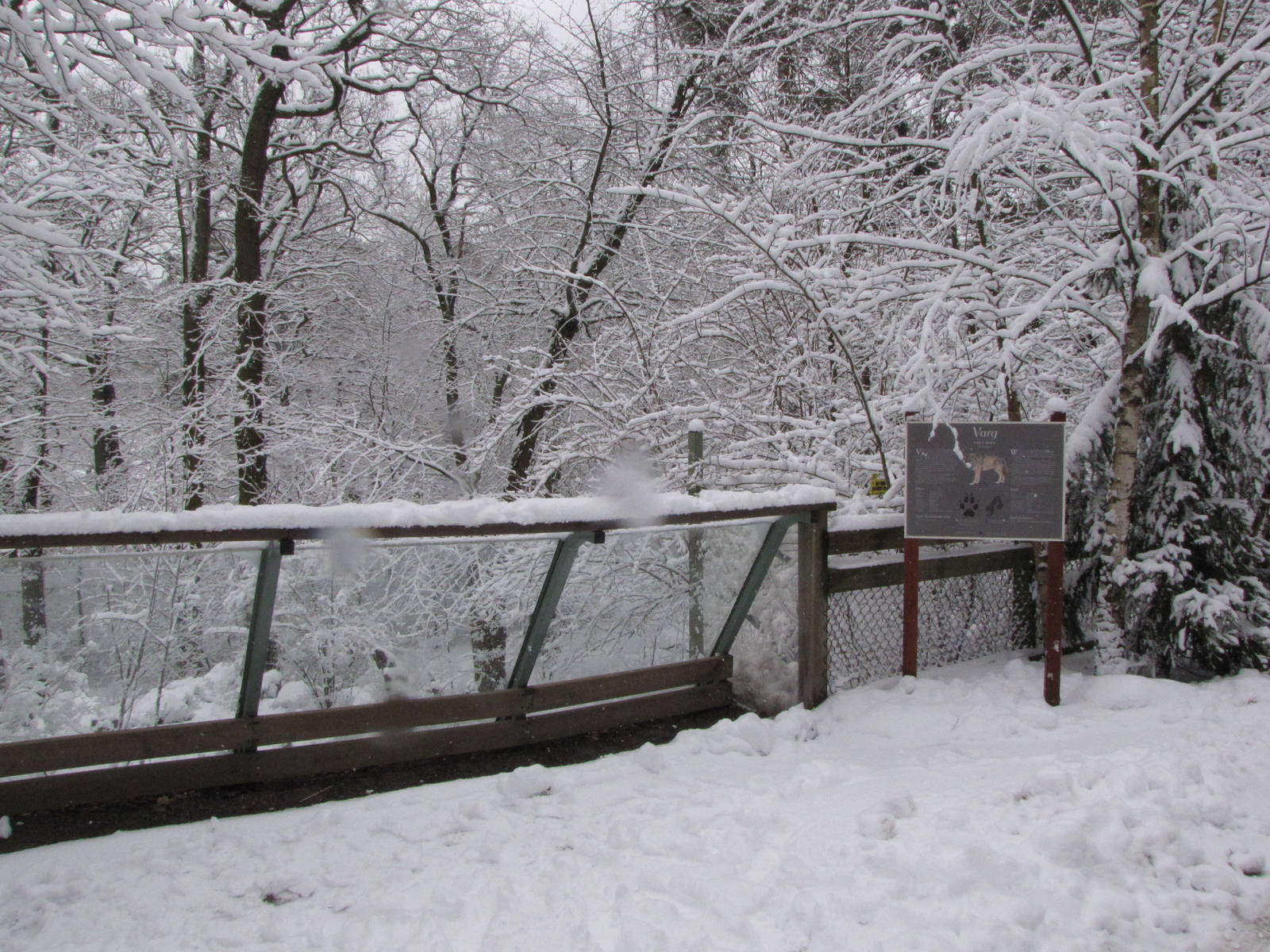 European lynx enclosure at Skansen
