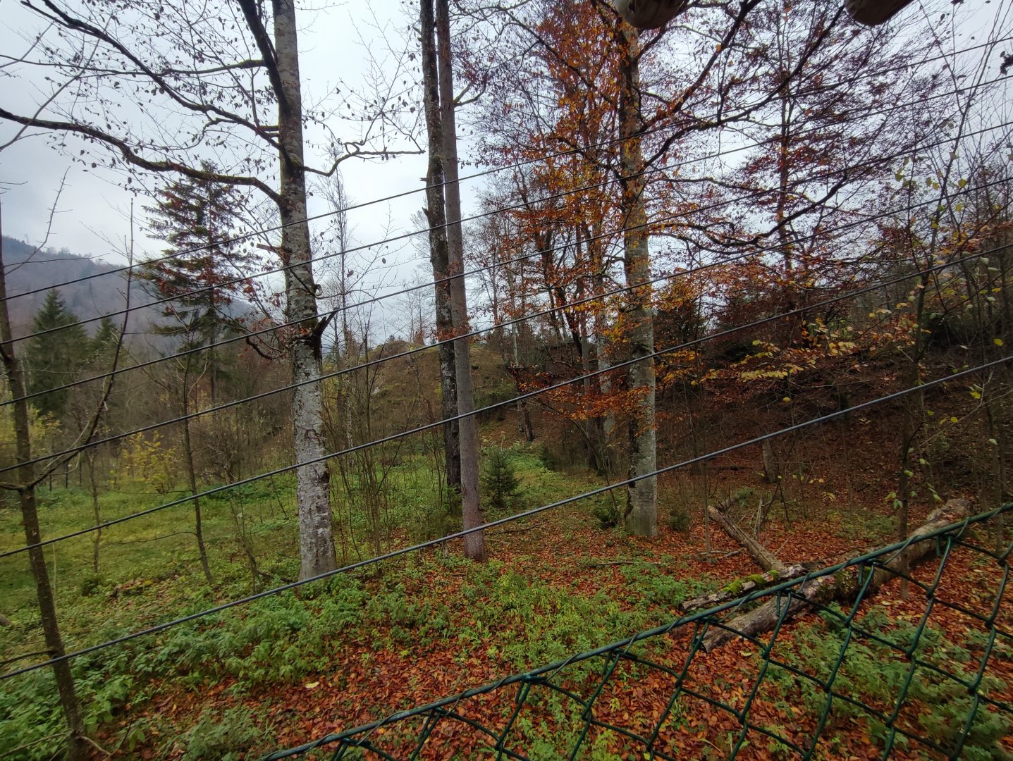 European lynx enclosure - Wildpark Grünau/Cumberland