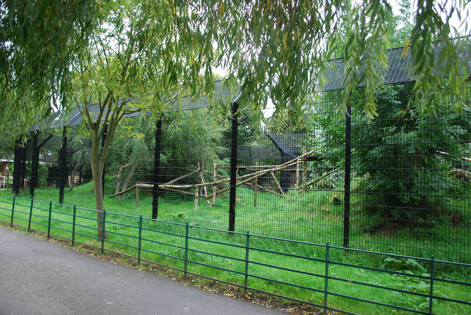 EUROPEAN LYNX ENCLOSURE