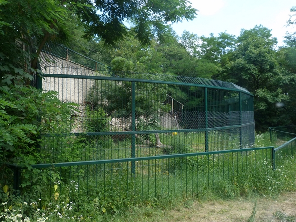 European lynx enclosure