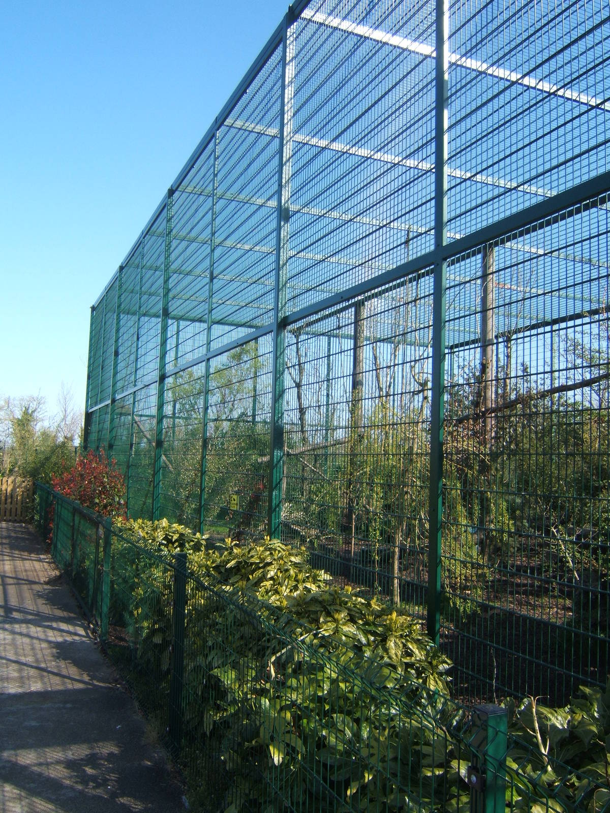European Lynx enclosure