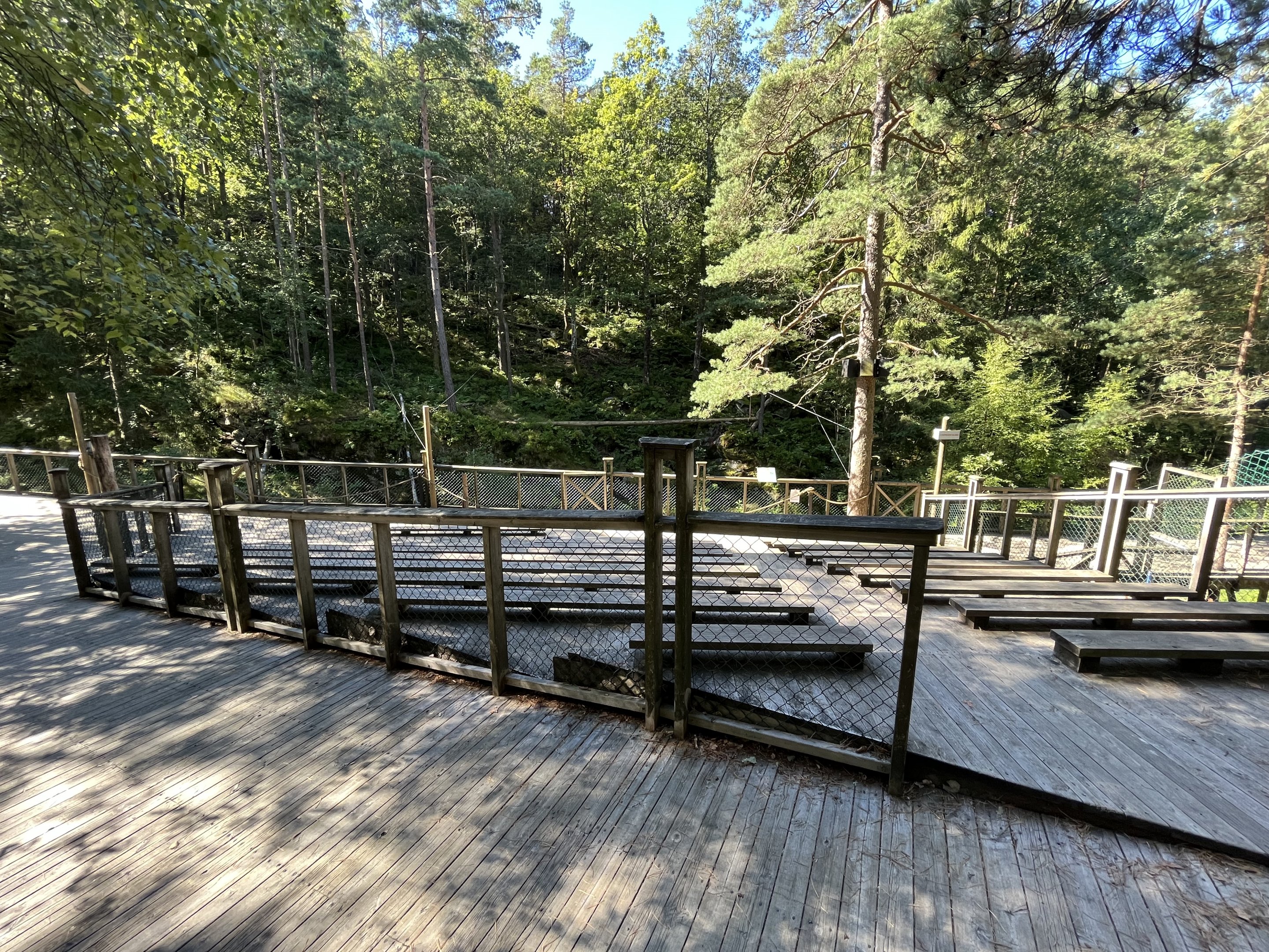European Lynx Exhibit - seating area