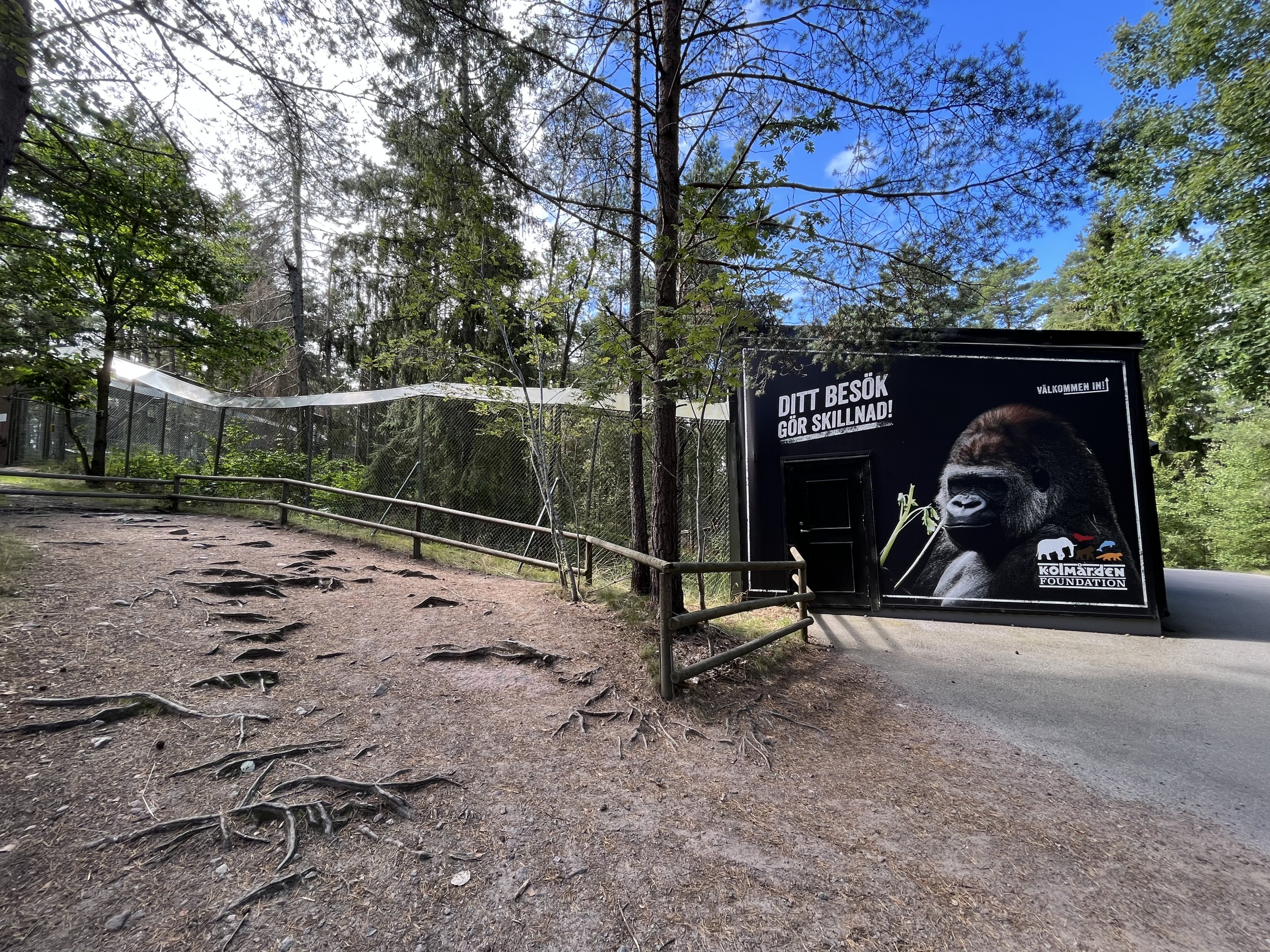 European Lynx Exhibit