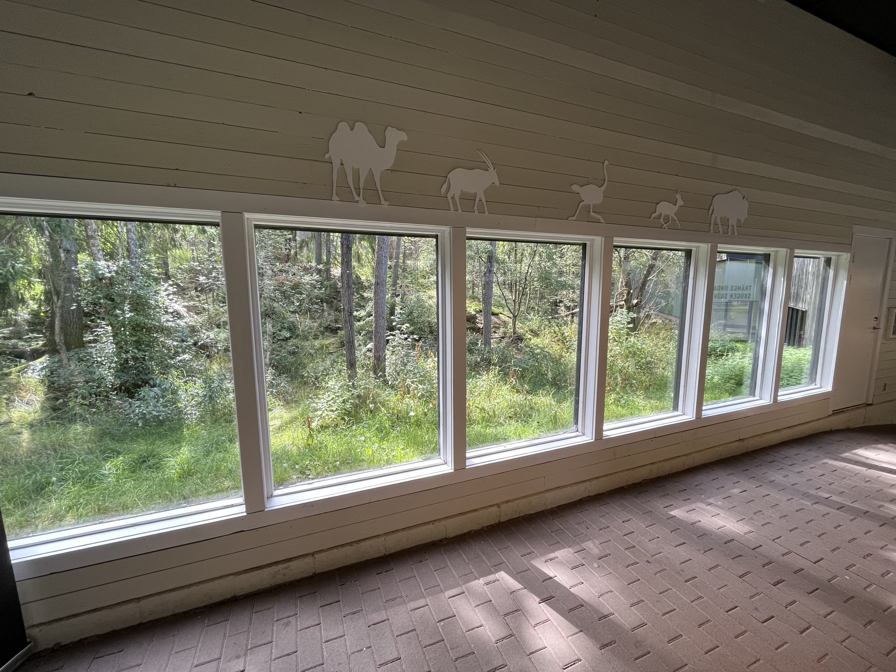 European Lynx Exhibit