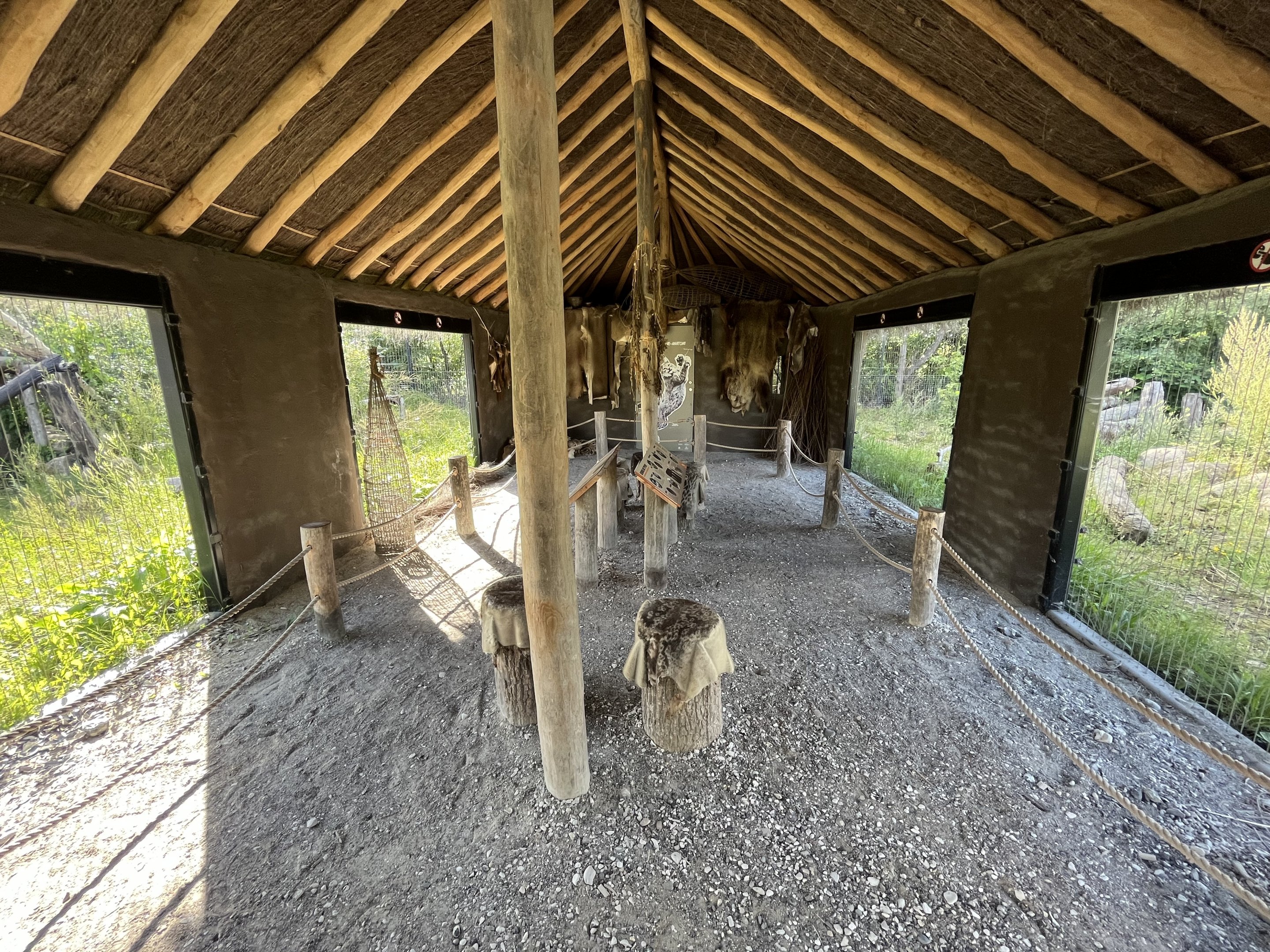 European Lynx Exhibits