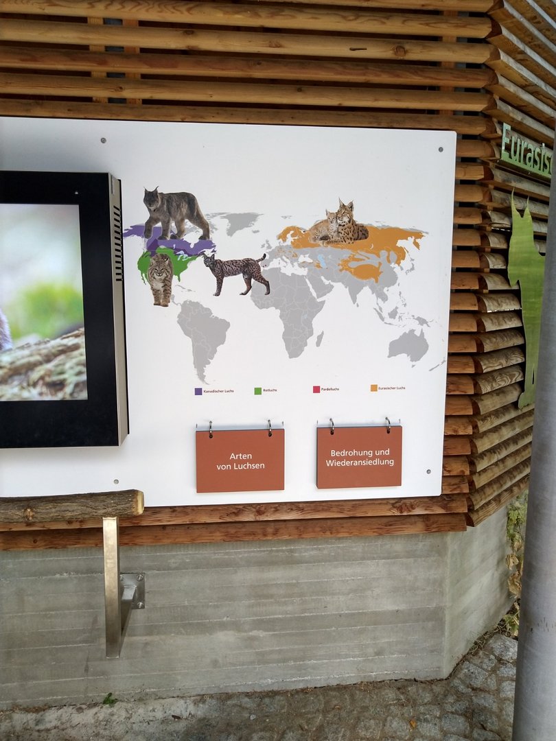 European lynx information board