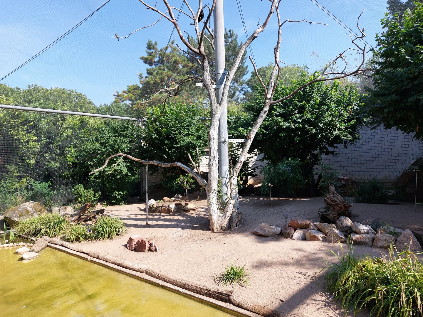 European mediterranean aviary