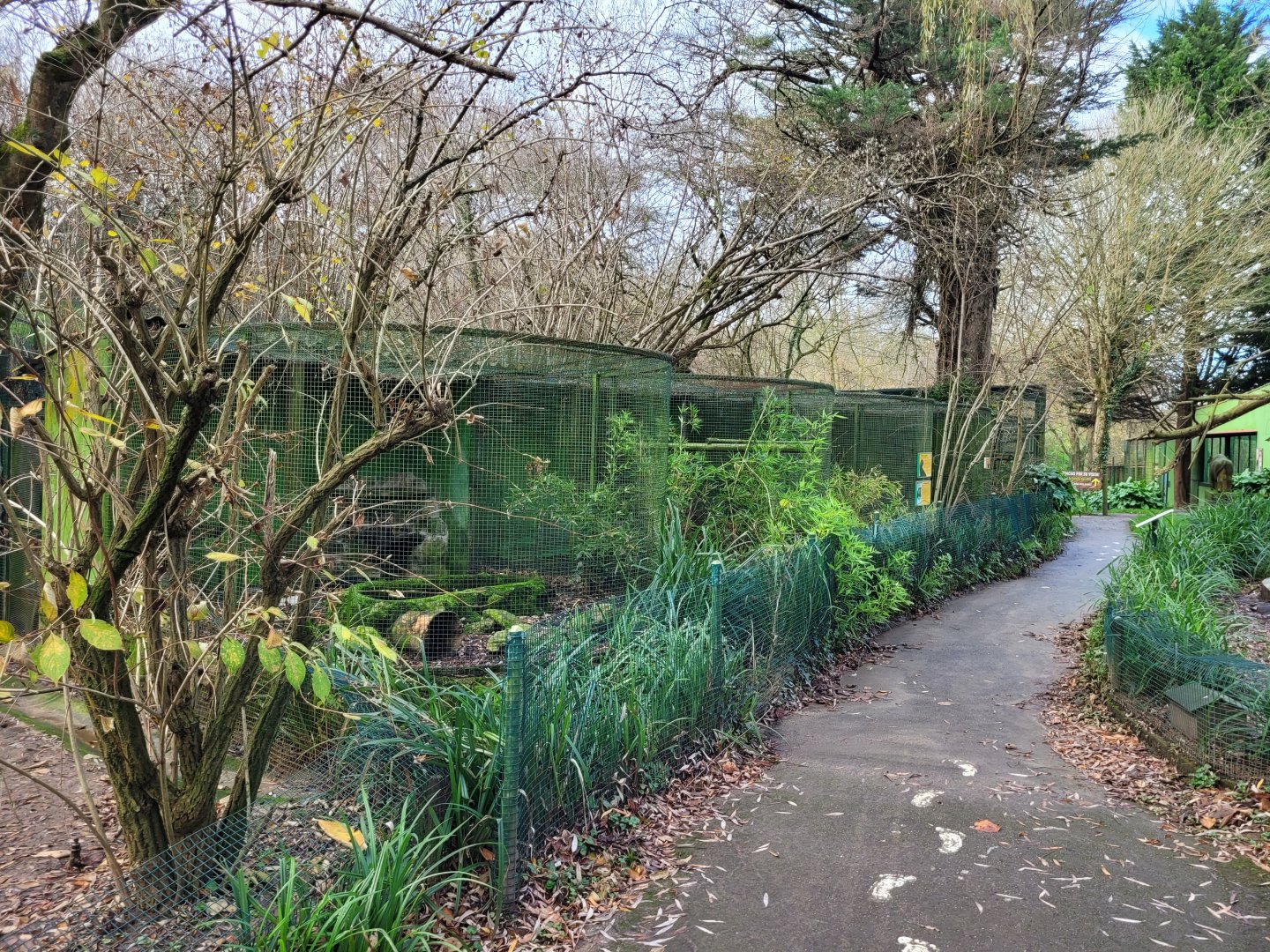 European mink and Domestic ferret exhibits -Zoo de Santillana del Mar (2023)