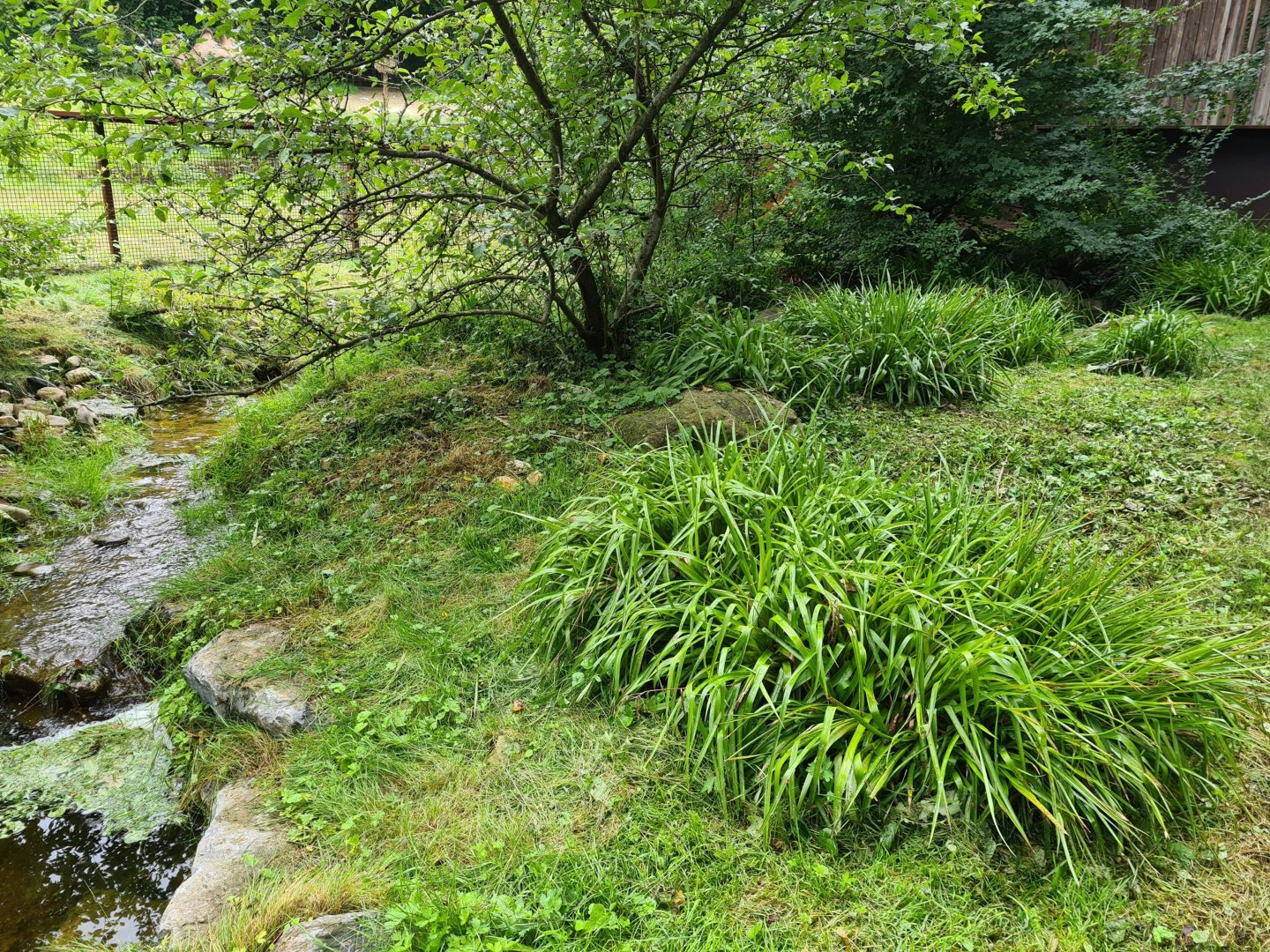 European mink enclosure