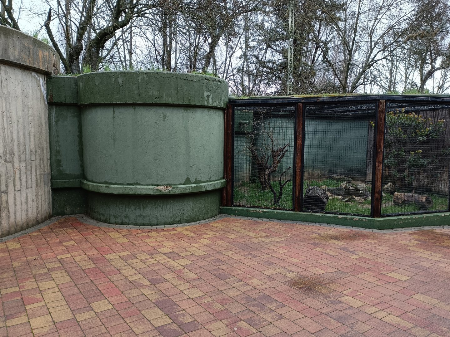 European mink enclosure