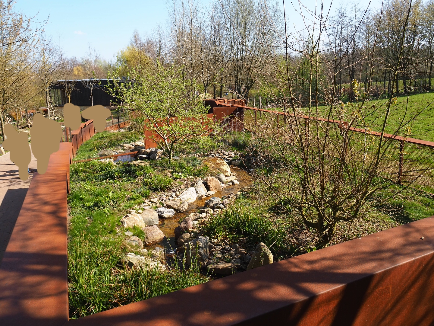 European mink exhibit, 2019-03-30