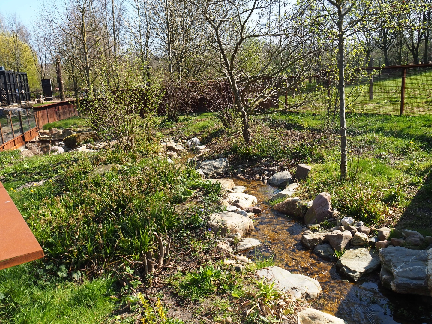 European mink exhibit, 2019-03-30