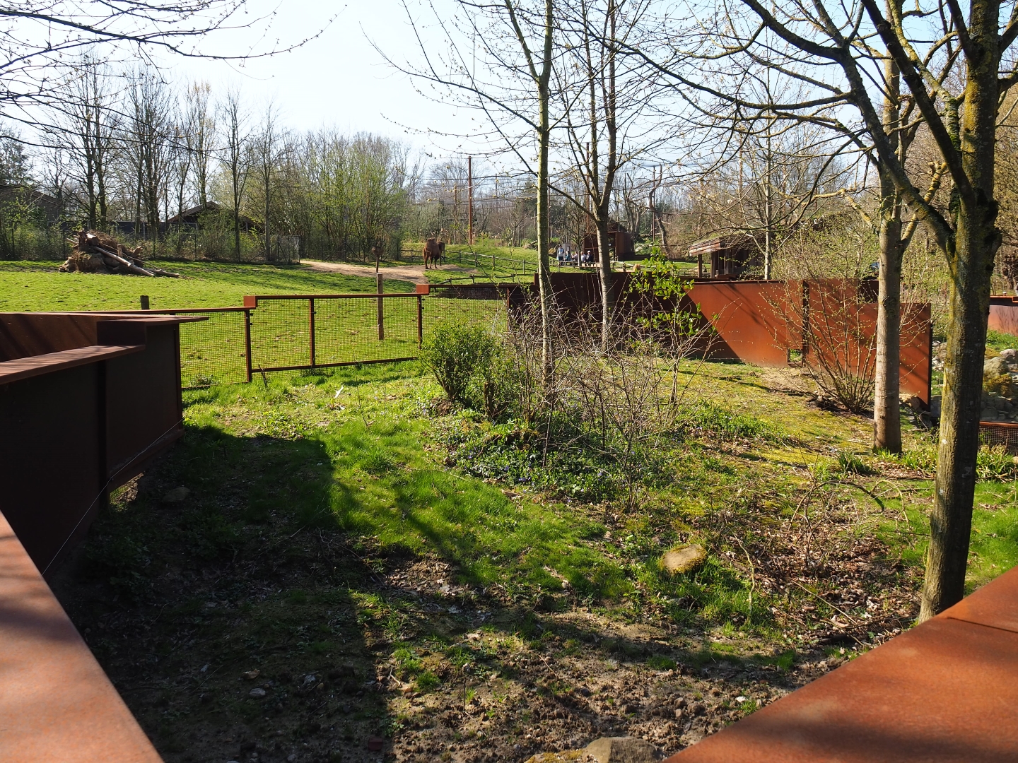 European mink exhibit, 2019-03-30