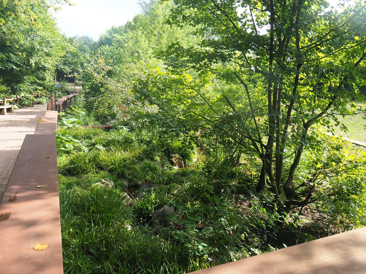 European mink exhibit, 2022-08-20