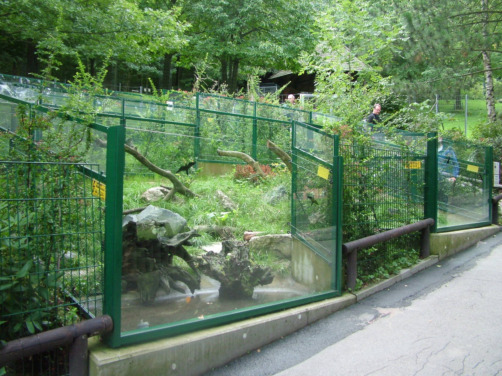 European Mink Exhibit at Opel-Zoo Kronberg, 30/08/10